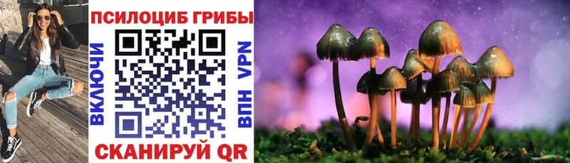 закладка  Новая Ладога  Псилоцибиновые грибы прущие грибы 