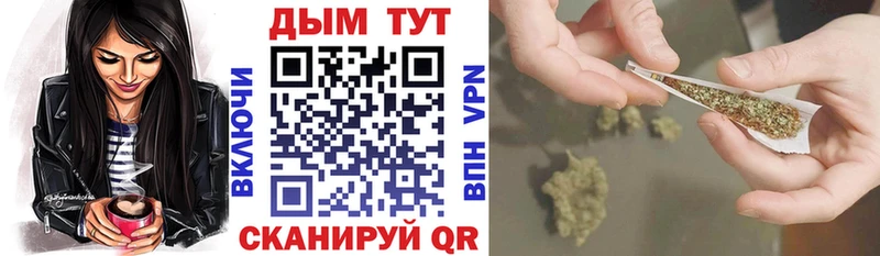 Канабис OG Kush  Новая Ладога 